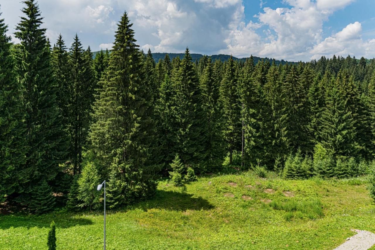 Pine Woods Apartment B35 In Silver Mountain Poiana Brasov Exterior foto
